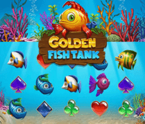 Golden Fish Tank